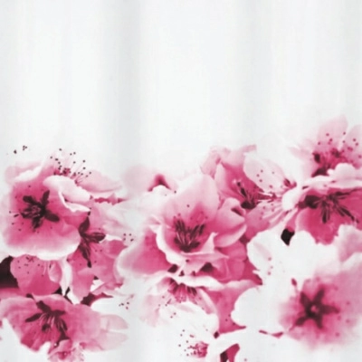 Полноразмерное изображение