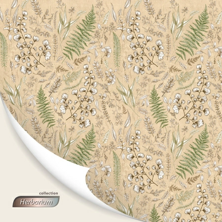 8 Кофр для хранения Hausmann Herbarium 60x50x36см фото 8